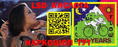 шишки Севастополь