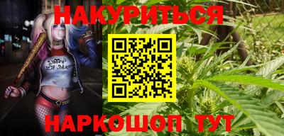 шишки Севастополь